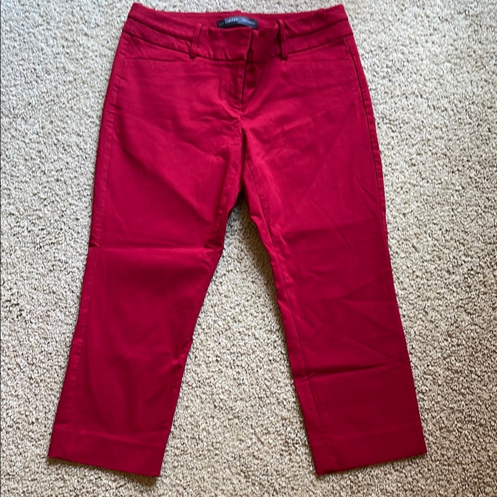Vintage The Limited exact stretch crop. IYKYK